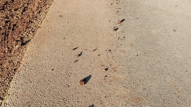 Slikovita ulica Laste, Blato