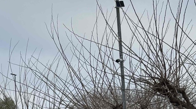 Neovlaštena solarna kamera u Rovinju