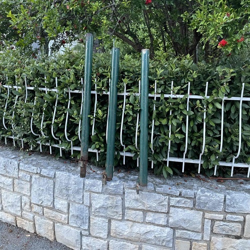Iščupani