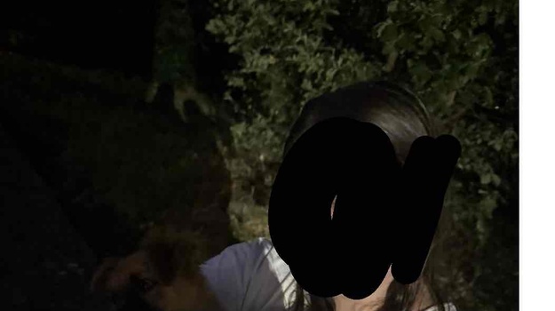 Štene u opasnosti zbog vlasnika