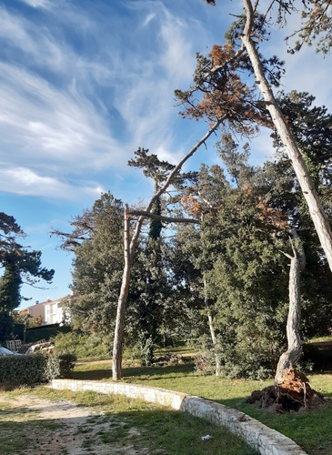 Upozorenje: