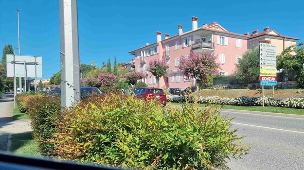 Ukloniti zelenilo na Istarskoj 53