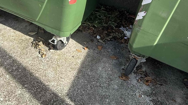 Čišćenje oko kontejnera u Fažanskoj
