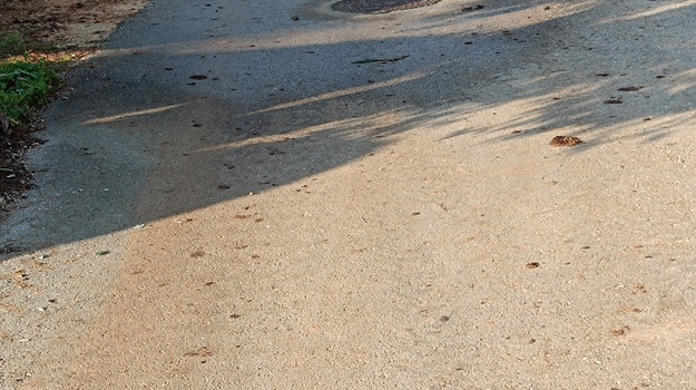 Onečišćenje na gradilištu Hrvatskih šuma