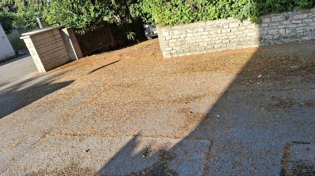 Komunalni Problemi i Zanemareni Propisi