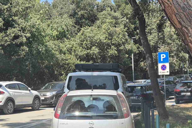 Neposlušno