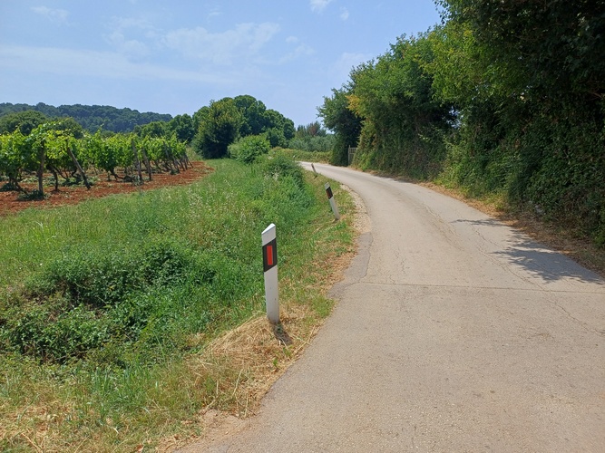 Košnja
