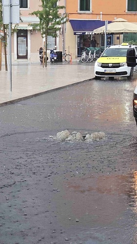 Začepljeni