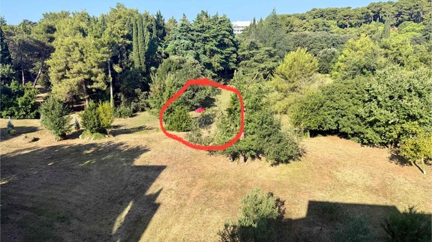Šatori u parku iza hotela
