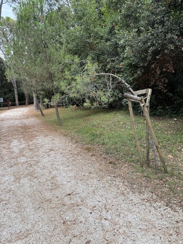 "Postavljanje