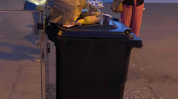 Nedostatak kontejnera na Trgu Rovinja