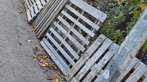 Opasnost Prisutna, Rješenja Nema