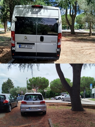Neovlašteno