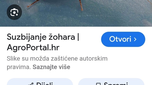Hitna intervencija zbog najezde žohara