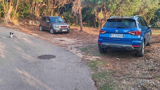 Neprestano parkiranje na zelenilu