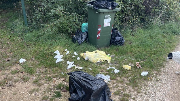 Pokupi na Bijelom putu.