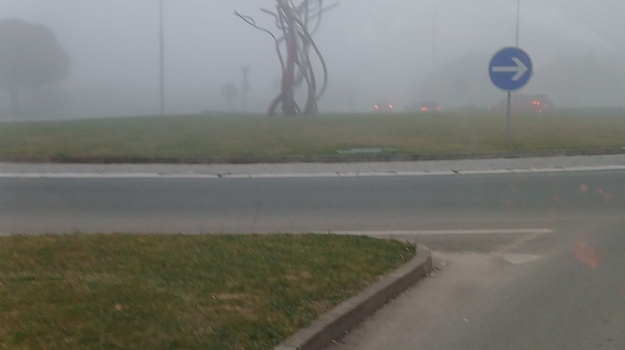 "Ukrasno Drvce: Upaliti Rasvjetu"