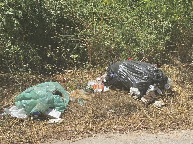 Ekološko