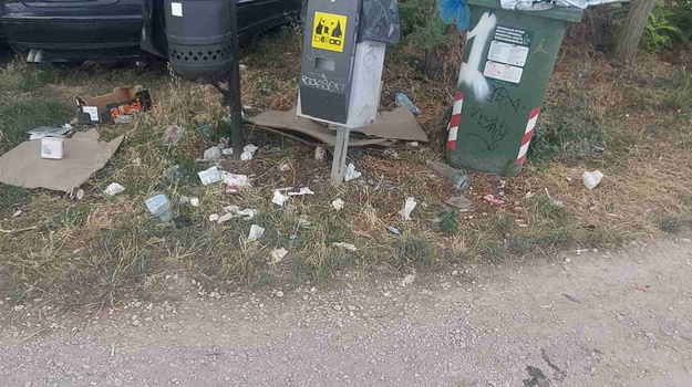 Neodvoženje smeća izaziva sramotu