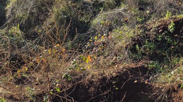 Namjerno Zakopavanje Smeća Ilegalno