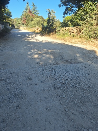 Ležeći