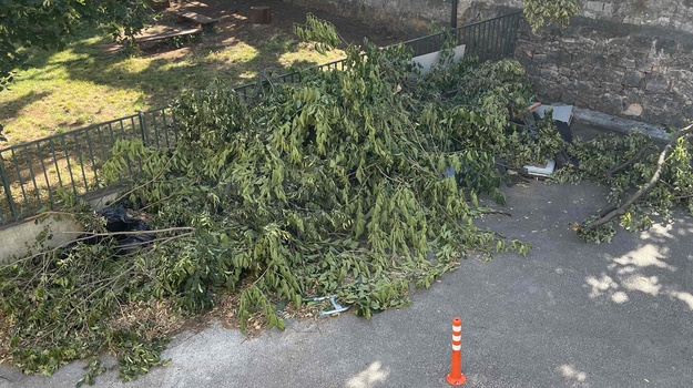 Uklanjanje otpada iz dvorišta