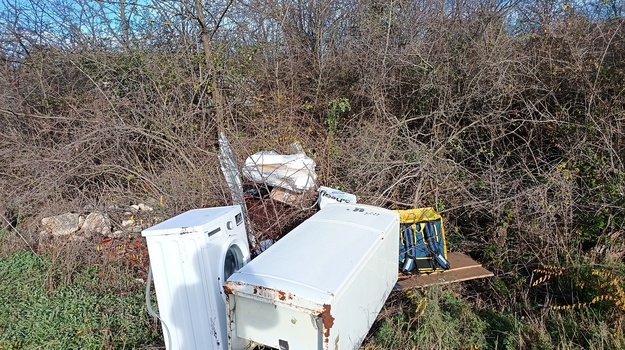 Ostavljene Šporkulje nađen očigledne.