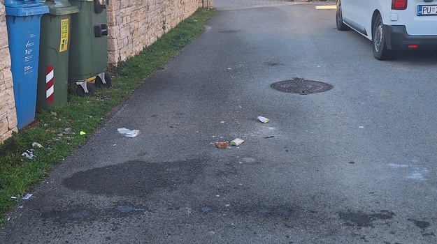 Nemarno odvoženje smeća u Rovinju