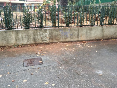 Pokupite Lišće Prije Kiše