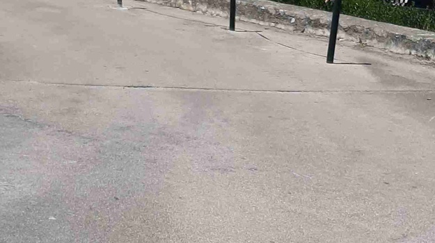 Nered u A. Ferriju: Bez redara