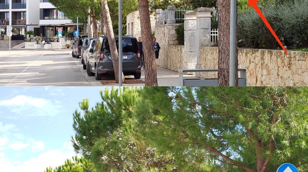 Bezvrijedni gradski znakovi 💩