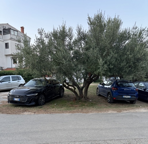 Neprimjereno