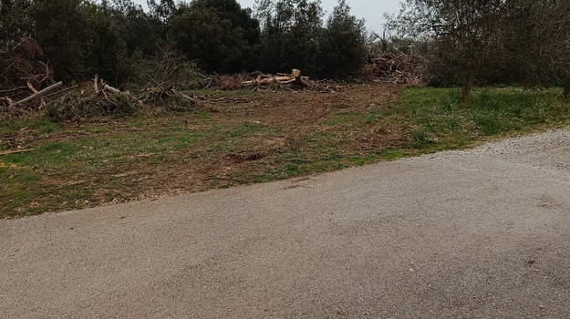 "Rješavanje ostataka u Šumici Laste?"