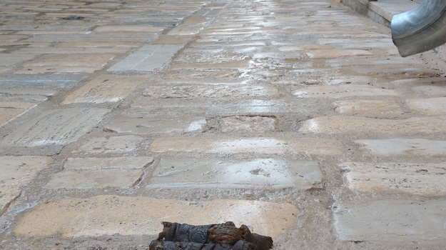 Vlasnici pasa zanemaruju čistoću ulica