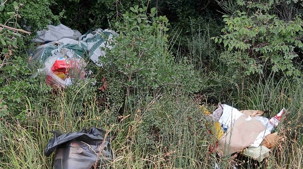 Nekontrolirano odlaganje smeća