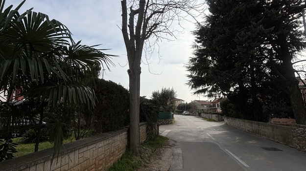 Zahtjev za uklanjanje stabla