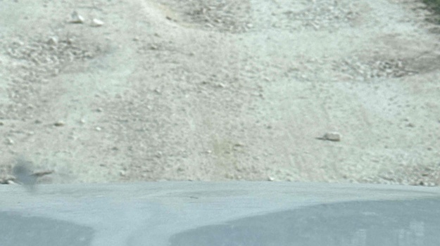 Obnova puta: Izazovi 2024.