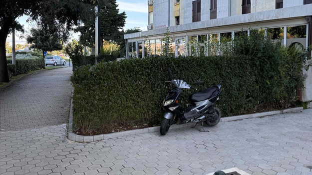 Šišanje živice molba