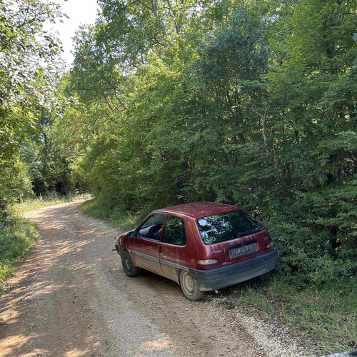 Napušten