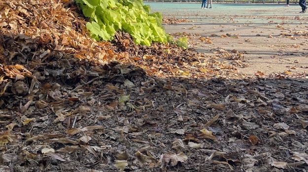 Održavanje Igrališta Pionirski Dom
