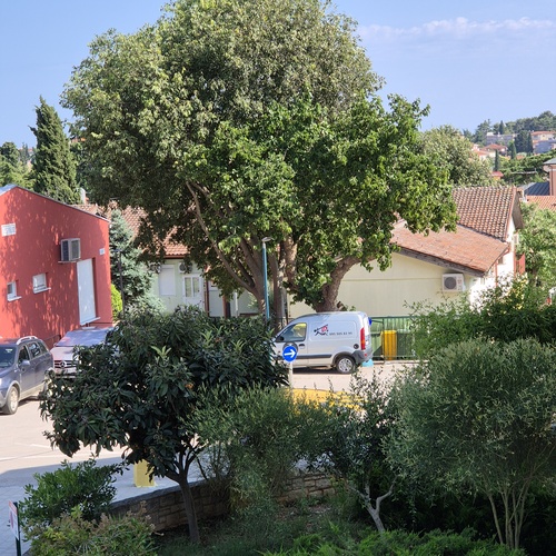 Nepropisno