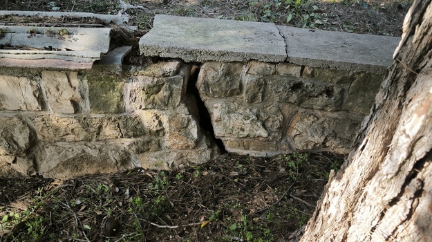 Borovo korijenje oštetilo posjed