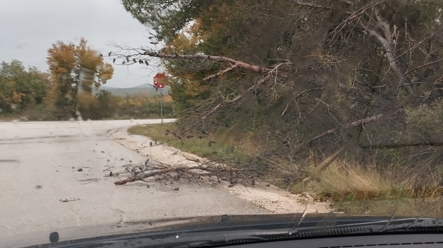 Drvo blokira cestu kod Španidige