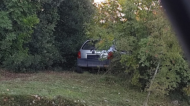 Napusteni automobil u grmlju