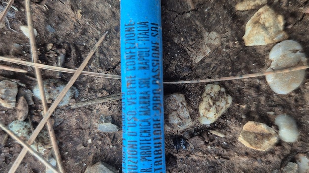 Večernja pucnjava u parku