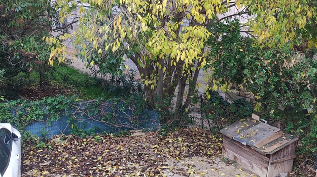 Čišćenje Fontere i uklanjanje otpada