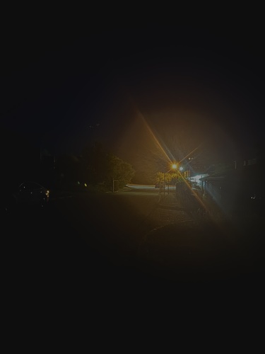 Potrebna