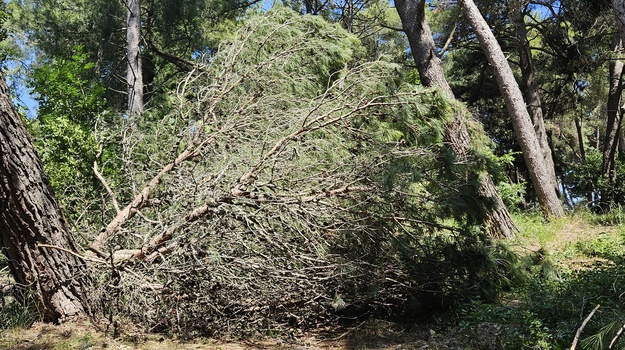 Neprohodnost šumice iznad Valalte
