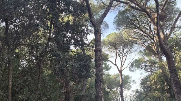 Grana napukla kod informativne ploče