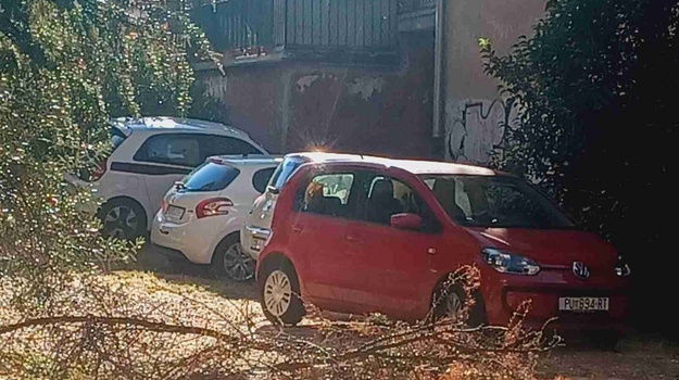 Olujni ostaci na Zagrebačkoj ulici